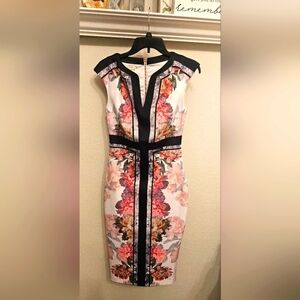 Ted Baker Shawnie Multicolor Polyester V-Neck Sleeveless Knee Length Dress 2